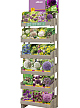 DISPLAY ALLIUM 21 X 5 (12 PREPACK, 9 XXL) I