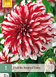 X 1 DAHLIA SANTA CLAUS I