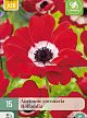 X 15 ANEMONE CORONARIA HOLLANDIA 5/6