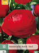X 10 RANUNCULUS ROOD VJ 6/7