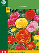 X 10 RANUNCULUS MIX  4/5