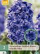 X   3 HYACINTHUS DUBBEL BLAUW 15/16