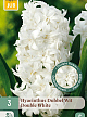 X   3 HYACINTHUS DUBBEL WIT 15/16
