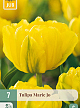 X   7 TULIPA MARIE JO  11/12