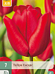 X   7 TULIPA ESCAPE 11/12