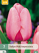 X   7 TULIPA PINK IMPRESSION 11/12