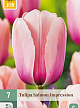 X   7 TULIPA SALMON IMPRESSION 11/12