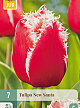X   7 TULIPA NEW SANTA 11/12