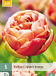 X   5 TULIPA COPPER IMAGE 11/12