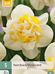 X   5 NARCISSUS WESTWARD 12/14