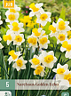 X   5 NARCISSUS GOLDEN ECHO 12/14