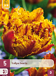 X   5 TULIPA BASTIA 12/+