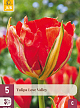 X   5 TULIPA LOVE VALLEY 11/12