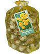 X   80 NARCISSUS BOTANISCH GEEL 10/12