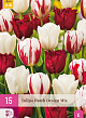 X 15 TULIPA DUTCH DESIGN MIX 11/12
