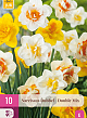 X 10 NARCISSUS DUBBEL MIX 12/14