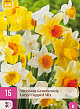 X 15 NARCISSUS GROOTKRONIG MIX 12/14