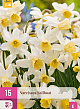 X 15 NARCISSUS SAILBOAT 10/12