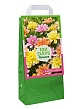 X 1 TAS 5 DAHLIA WATERLILY MIX  I