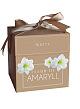 X 1 DOOSJE FLEUR D'AMARYLL WHITE 28/30