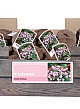 X 30 CYCLAMEN HEDERIFOLIUM INCL. LABEL 35/+