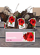 X 30 AMARYLLIS ROOD INCL. LABEL 32/34