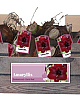 X 30 AMARYLLIS DONKERROOD INCL. LABEL 32/34