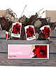X 30 AMARYLLIS DUBBEL ROOD INCL. LABEL 32/34