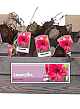 X 20 JUMBO AMARYLLIS ROZE INCL. LABEL 38/40
