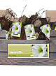 X 20 JUMBO AMARYLLIS WIT INCL. LABEL 38/40