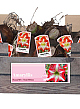 X 20 JUMBO AMARYLLIS ROOD/WIT INCL. LABEL 38/40