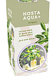 X 1 DOOSJE 1 HOSTA AQUA+ STRIPED IN GLAS TOP