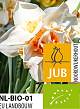 X 100 BIO NARCISSUS REPLETE 12/14