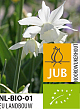 X 100 BIO NARCISSUS TRIANDRUS THALIA 10/12