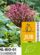 X   50 BIO ALLIUM MAGIC 8/+