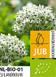 X   50 BIO ALLIUM NIGRUM (MULTIBULBOSUM) 8/+