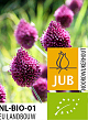 X 100 BIO ALLIUM SPHAEROCEPHALON 5/6