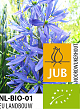 X   25 BIO CAMASSIA LEICHTLINII CAERULEA 12/14