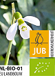 X 100 BIO GALANTHUS POLAR BEAR 7/+
