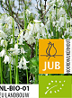 X 100 BIO HYACINTHOIDES HISPANICA WIT 7/8