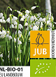 X   50 BIO LEUCOJUM GRAVETYE GIANT 10/12