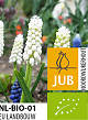 X 100 BIO MUSCARI CASABLANCA 5/+