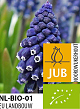 X 100 BIO MUSCARI JOYCE SPIRIT 7/8