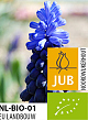 X 100 BIO MUSCARI LATIFOLIUM 5/+