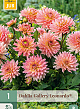 X 1 DAHLIA GALLERY LEONARDO® I