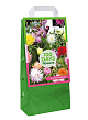 X 1 TAS 5 DAHLIA CACTUS MIX I