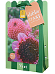 X 1 TAS DAHLIA D'ART 4 DAHLIA VERT I
