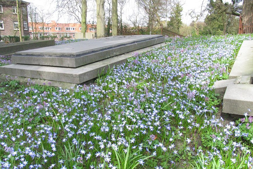 Begraafplaats Daalwijk Utrecht