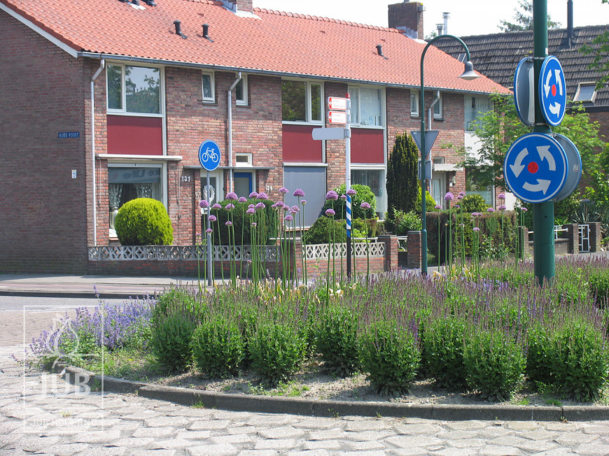 Steenbergen