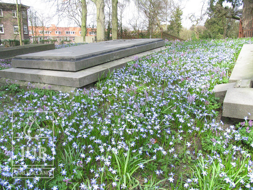 Utrecht Daalwijk